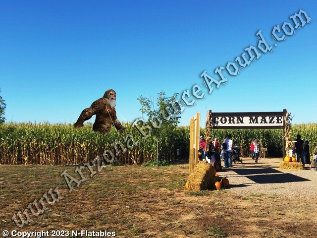 Bigfoot House Party Bounce House Rental Phoenix